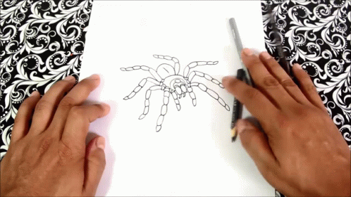 a hand with a marker draws on the piece of paper, drawing a taradiska spider