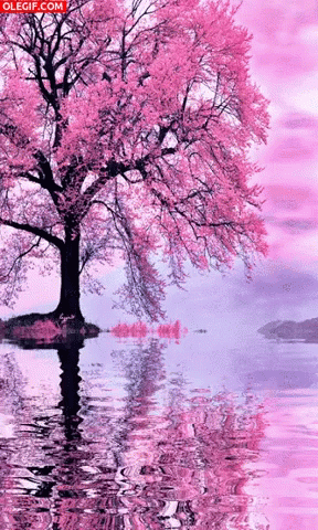 a tree is reflected in the water while purple clouds hover above
