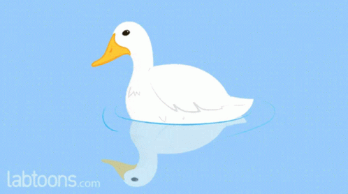 a large duck floating in the water with an orange background