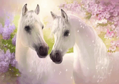 two horses standing next to each other with flowers in the background