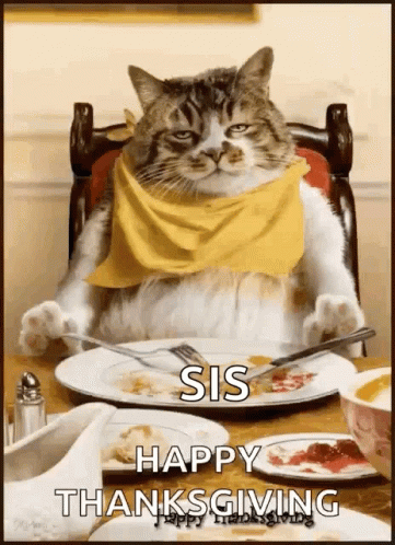 cat in chair with napkin on plate with text happy thanksgiving sis