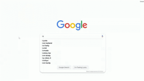 the browser page with the google logo on it