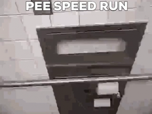 an image of a toilet with a caption that says pee speed run