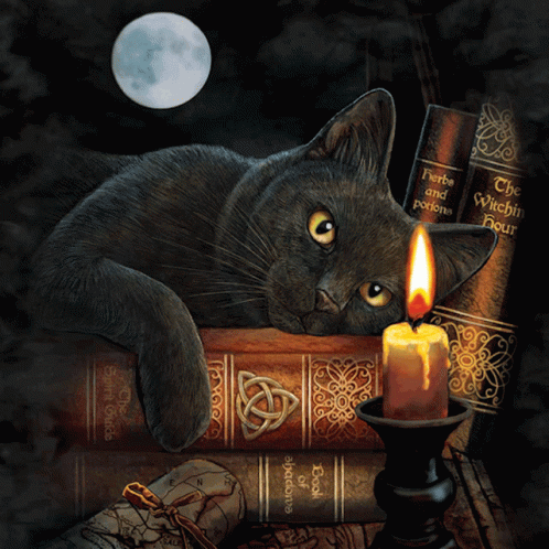 a cat with a candle in its lap resting on books