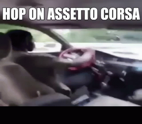 a person driving a car with the text top on asseto corsa