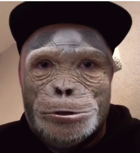 a man with a gray face and monkey face on