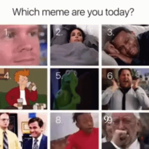 six images are showing different roles in which meme is your today