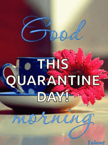 this quarantime day is a good morning