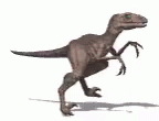 a dinosaur with its legs out and one foot on its stomach