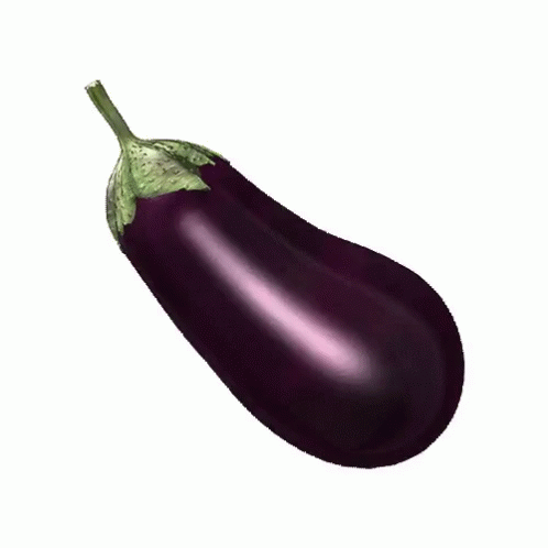a purple eggplant is shown against a white background