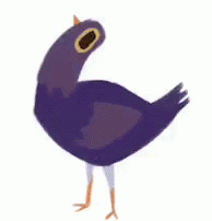 this is a bird with big eyes standing upright