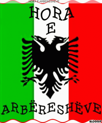 a banner with an eagle over a blue green and white stripes