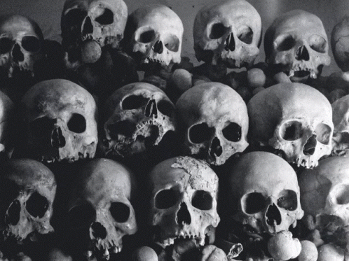 several large rows of skulls in the middle of them