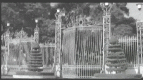 a black and white image of two gates leading to trees
