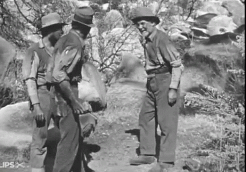 three men are talking and standing in the wild