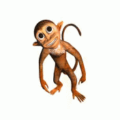 the little blue monkey with a face and tail is hanging from a rope