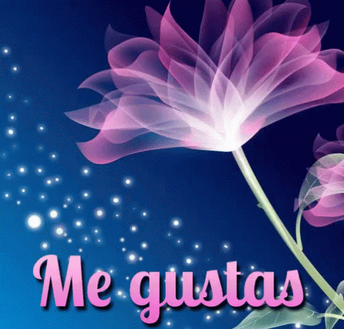 pink flower with the words me gustas in spanish