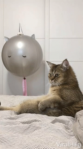 a cat lying on a bed next to a balloon