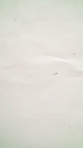 a couple of birds fly on a snow covered field