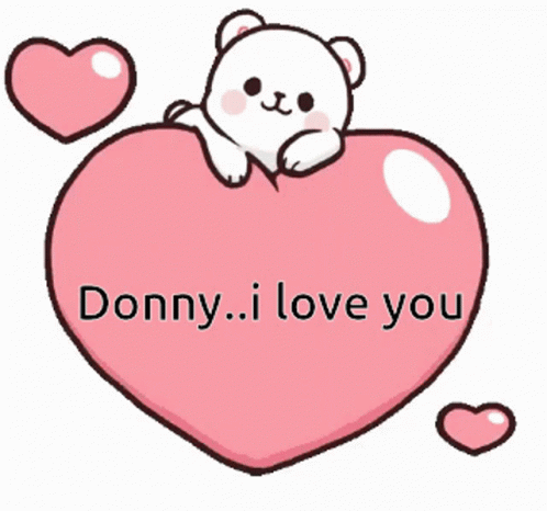 the message'donny i love you'is written inside a heart