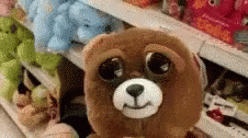 there are stuffed animals that are on shelves