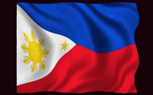 the philippines flag with an corona symbol