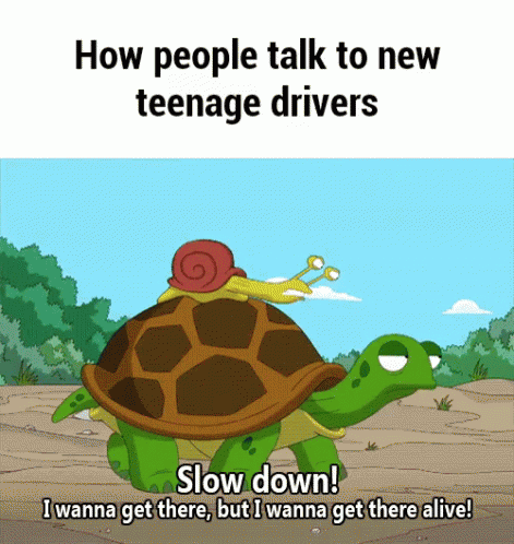 a cartoon turtle with a person on top of it's back