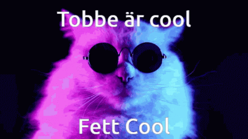 the cat is wearing sunglasses with the word tobe arool