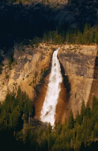 an aerial view of a waterfall with evergreen trees surrounding it