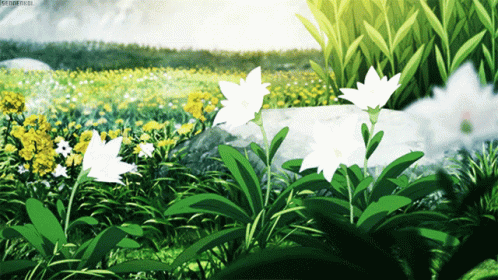 two large white flowers in the foreground with a field and blue flowers in the background