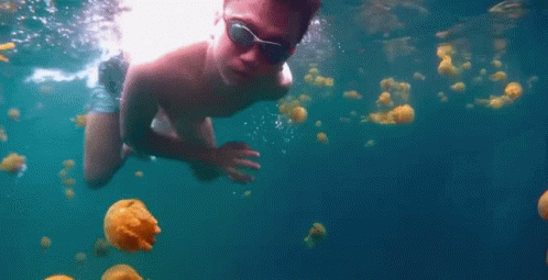 a man swimming under the water next to jelly fish