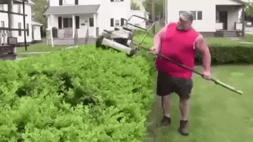 the person is using a lawn mower to clear bushes