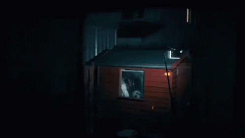 two cats sit in an open window of a house at night