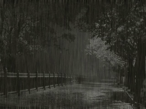 an image of a park that is in the rain