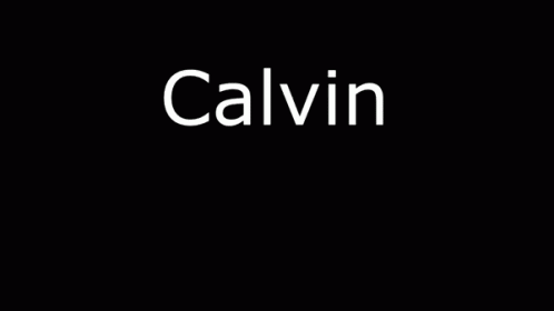 an illustration of the word'calvin'in white on a black background