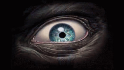 an animal eye with a circle inside the iris