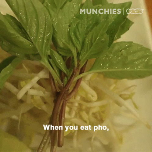 a brochure with the caption when you eat pho, don't get caught in each bite