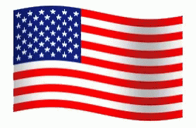 the american flag is shown in blue and white