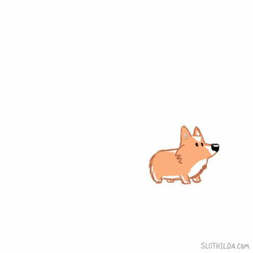 a small blue dog sitting on top of a white wall
