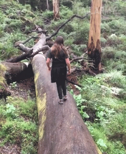 a person is walking on a fallen tree
