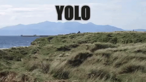 a sheep with words over it that say yolo