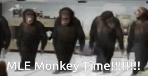 people wearing gorilla suits with words that read me monkey time