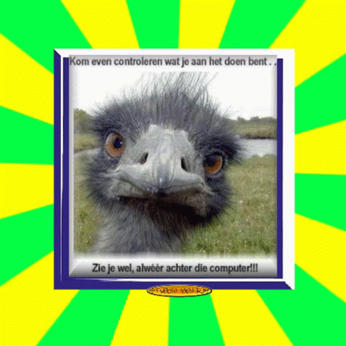 a close up of an emu face with text above it