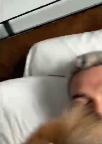 a blurry po of someones head laying on his bed