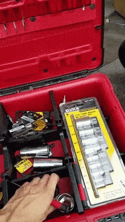 an open blue plastic tool box with a tool belt in it