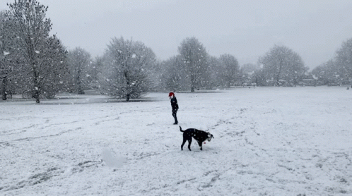 there is a person playing frisbee in the snow