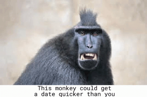 an angry monkey has text on it stating he is the man
