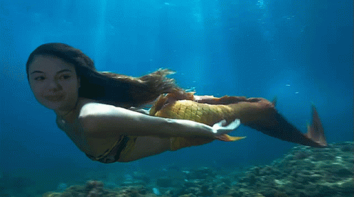 a woman is swimming in an aquarium