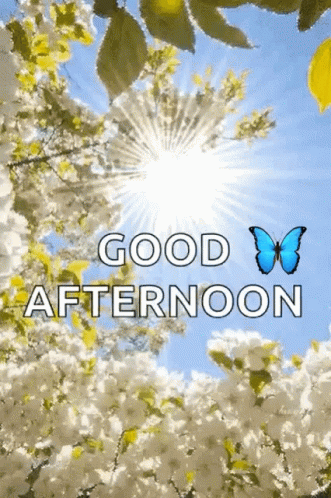 the words good afternoon on an abstract floral background