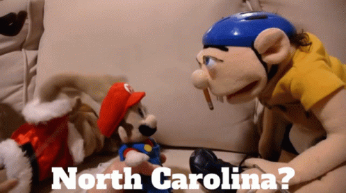 two stuffed animals are sitting on couches with north carolina text